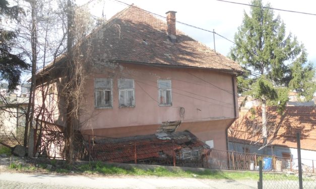 Hadži-efendija, prvi ljekar u Bošnjaka, školovan je u Istanbulu
