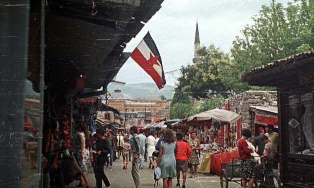 Gonite ih k’o šugave ovce