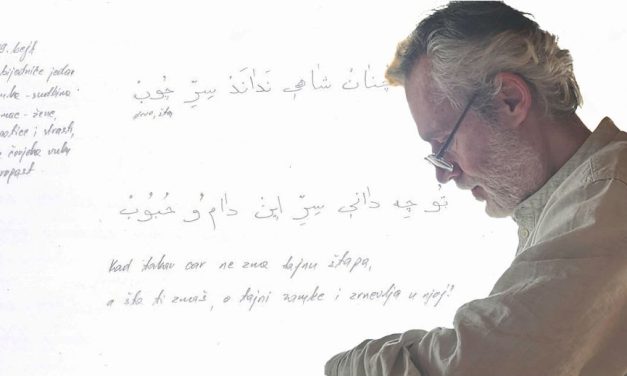 MESNEVIJA: Teška je situacija, ali dolaze vojske koje niste vidjeli