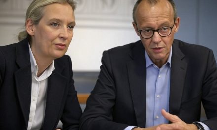 Nakon izbora u Njemačkoj: Ko su glasači ekstremne desnice