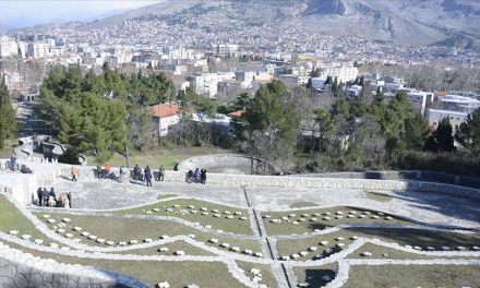 Bošnjaci ginuli, Srbi pisali historiju borbe