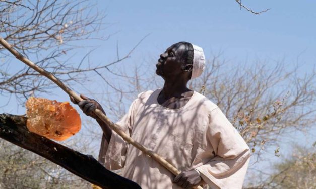 Paravojne snage u Sudanu kontroliraju ključni sastojak Coca-Cole i Pepsija