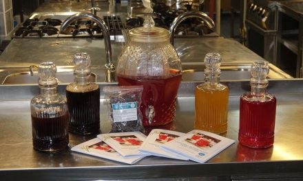 Šerbe je vraćanje korijenima