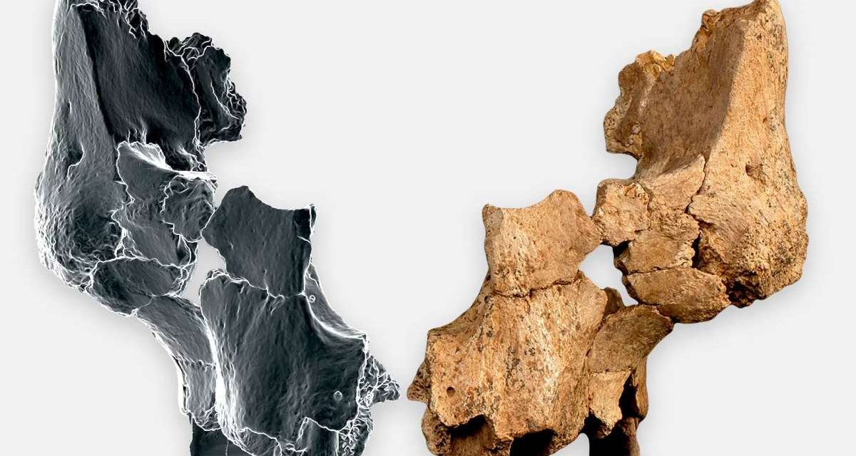 Ljudi su u Evropu stigli prije 1,4 miliona godina