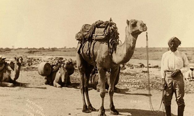 Prva australijska džamija