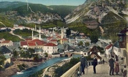 Travnički vezir i njegov slon