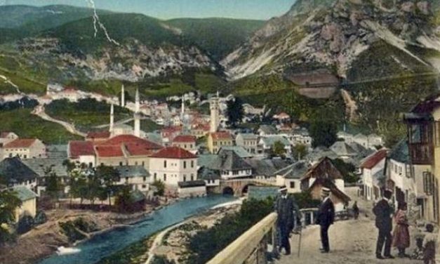 Travnički vezir i njegov slon