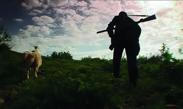 Virdžine, zaklete djevice: Srednjovjekovna tradicija svijeta na izdisaju