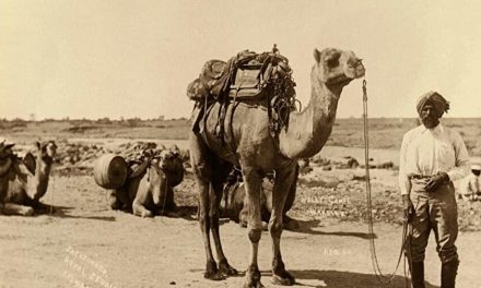 Prva australijska džamija