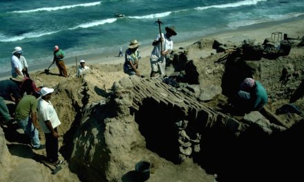 Izložba u Parizu: Svjetlo na 5.000 godina historije Gaze