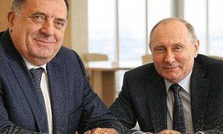 Dekan sarajevskog FPN za bečki Standard: Kako Dodik uništava bosansku državu