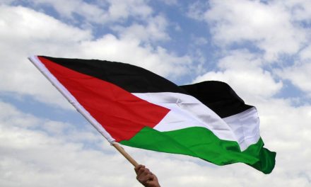 Eurosong 2025: Palestinske zastave dozvoljene publici