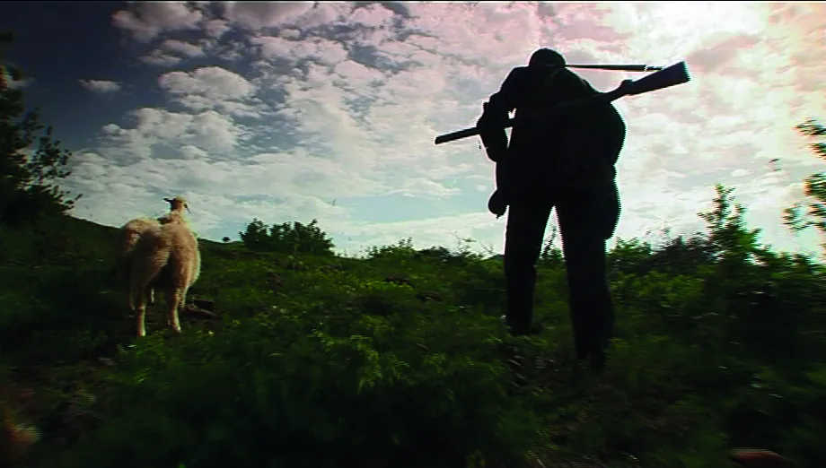 Virdžine, zaklete djevice: Srednjovjekovna tradicija svijeta na izdisaju