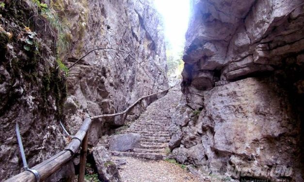 Ovogodišnji “Dani Ajvatovice” od 13. do 29. juna