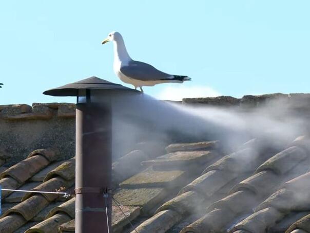 Pušten bijeli dim: Izabran je novi papa