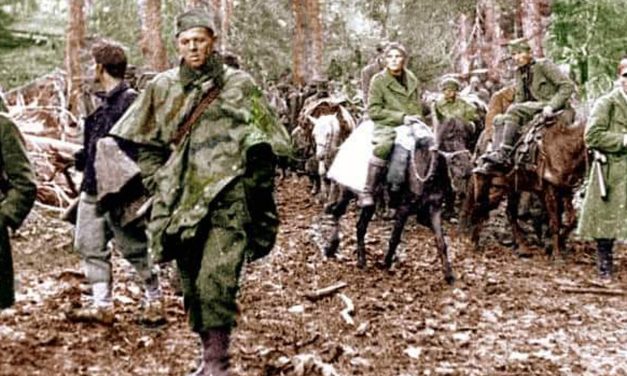 Partizani su izgubili trećinu boraca, ali su iz Sutjeske izašli još jači