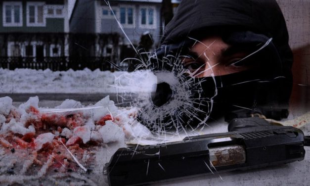 Žrtve i Bošnjaci: Skandinavski raj postaje država bandi i maloljetničkih zločina