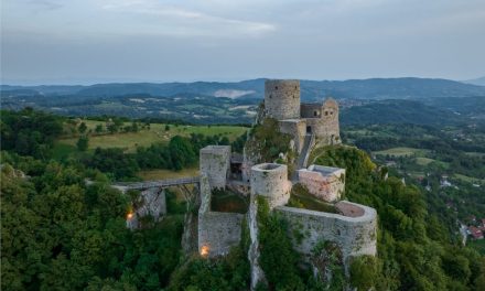 Bosna, Bošnjanin i bosanski jezik – identitet koji je negiran iz političkih i teritorijalnih pretenzija