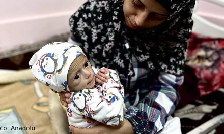 Siwar Ashour, slika gladi u Gazi