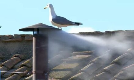 Pušten bijeli dim: Izabran je novi papa