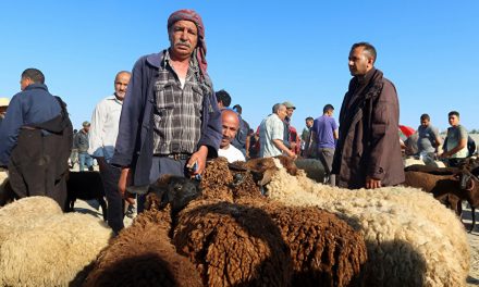 Luksuz zvani Kurban-bajram