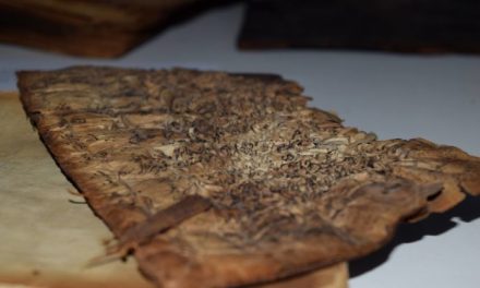 U tom je danu spaljena historija Bosne i Hercegovine