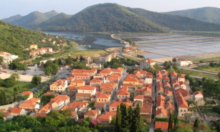 Neobičan slučaj s popisom u općini na jugu Hrvatske. Zašto su na izborima zaboravljeni Bošnjaci?