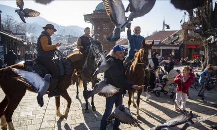 Prošli i kroz Bosnu: Španske hadžije oživjele zaboravljenu tradiciju andaluzijskih muslimana