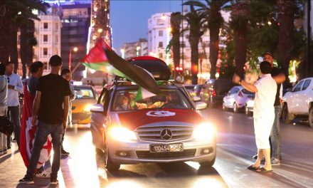 Invazija aktivista na Gazu