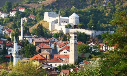 Bošnjaci podižu ustanak protiv reformi i odnose pobjedu