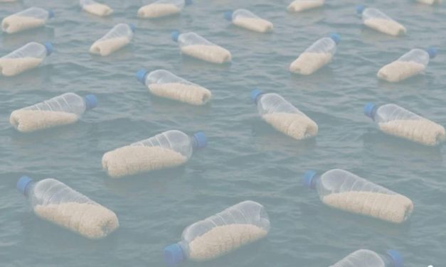 Egipćani pune plastične boce hranom i puštaju u more u nadi da će stići na obale Gaze