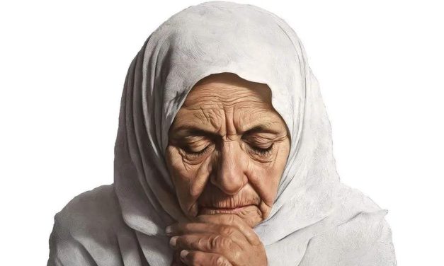 Promocija monografije “Srebrenica – Potočari 1995–2025: Srebrenička dova”