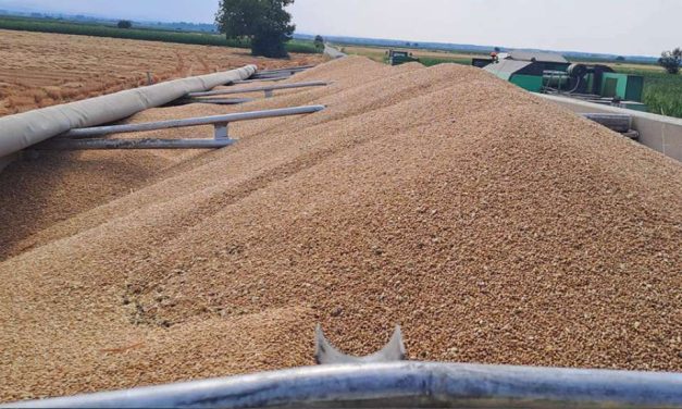 Medžlis Islamske zajednice Janja rekorder u proizvodnji kukuruza