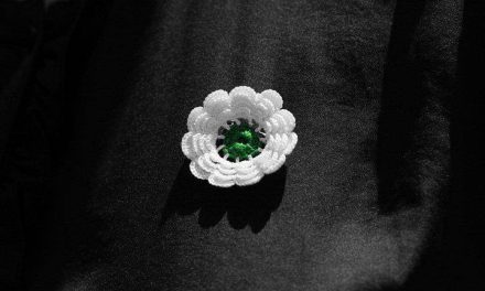 Zagreb: Mimohod sjećanja i svjetlosna projekcija cvijeta ‘Sjećanje’ – Srebrenica 1995.-2025.