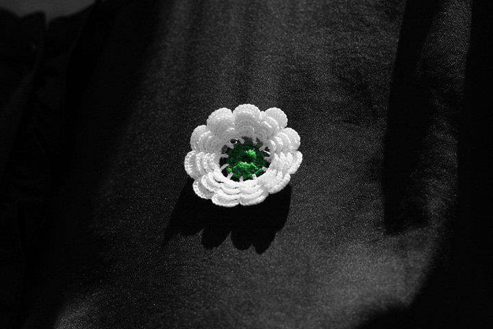 Zagreb: Mimohod sjećanja i svjetlosna projekcija cvijeta ‘Sjećanje’ – Srebrenica 1995.-2025.