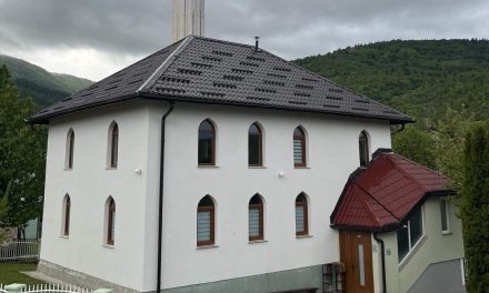 Sto godina džemata Dejčići