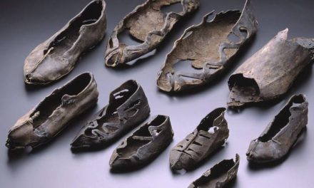 Neobična historija cipela