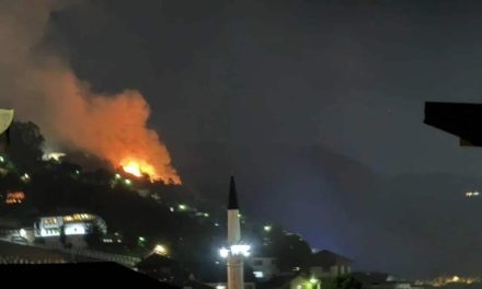 Vratnik gori od ljubavi: Rekla je “da” i sve je planulo, doslovno