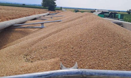 Medžlis Islamske zajednice Janja rekorder u proizvodnji kukuruza