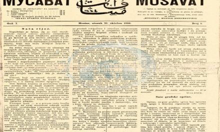 Nekada je svaka stranka imala svoje glasilo