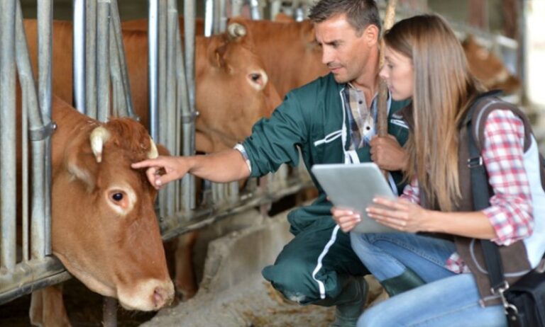 Popisati ćemo krave i ovce, a za ljude ćemo vidjeti