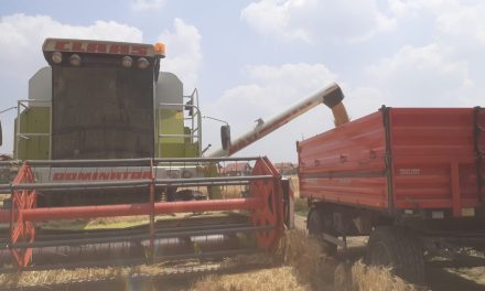 Medžlis Bijeljina uspješno okončao ovogodišnju žetvu