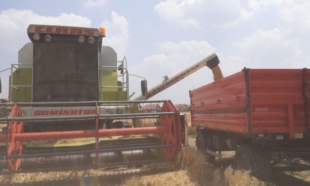 Medžlis Bijeljina uspješno okončao ovogodišnju žetvu