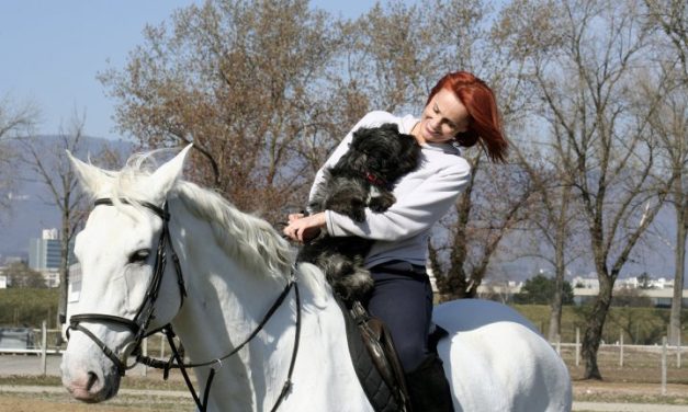 Almira Osmanović: “Unučice su moja najdraža publika, a ja sam njihova baka zvijezda”