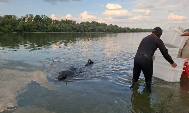 Orašje: Senzacionalno arehološko otkriće, možda i najveće u Evropi