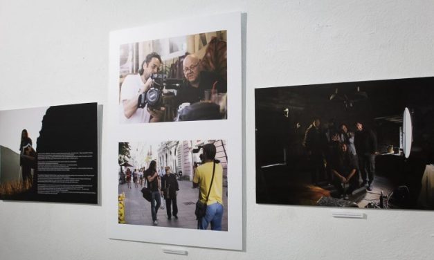 Iza štita s ljiljanima Amine Hodžić