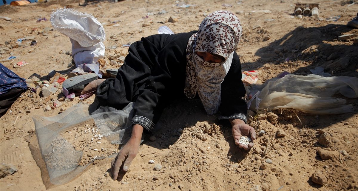 Umjeće preživljavanja: Palestinke sakupljaju zrno po zrno