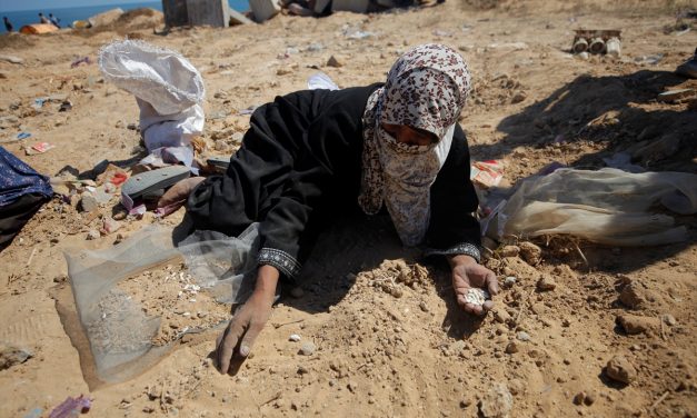 Umjeće preživljavanja: Palestinke sakupljaju zrno po zrno