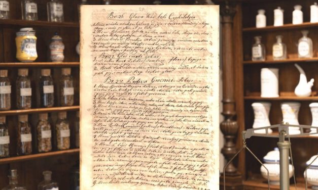 Ljekaruše – blago narodne medicine