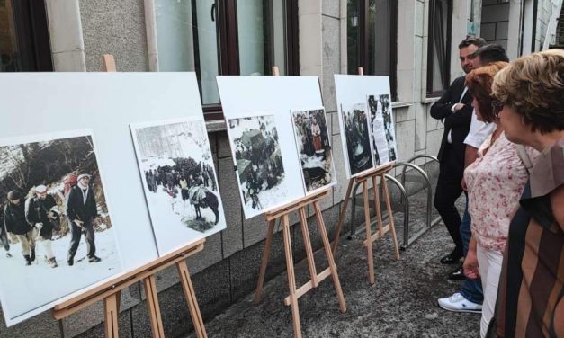 Grebak u objektivu ratnog reportera Gyurija Bakonyija